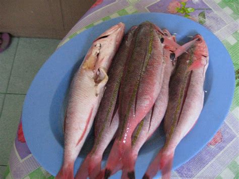 dalagang bukid fish|dalagang bukid fish in english.